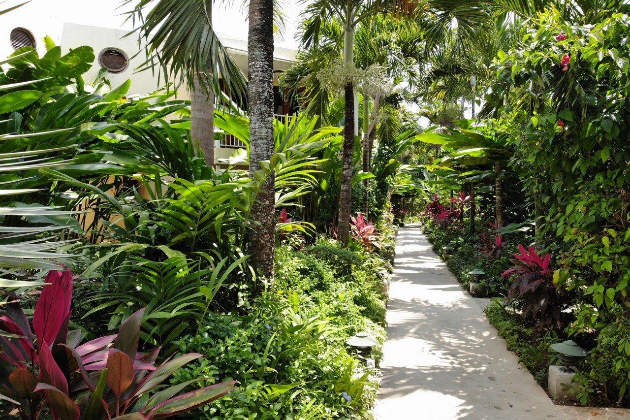 Negril Palms Hotel Buitenkant foto