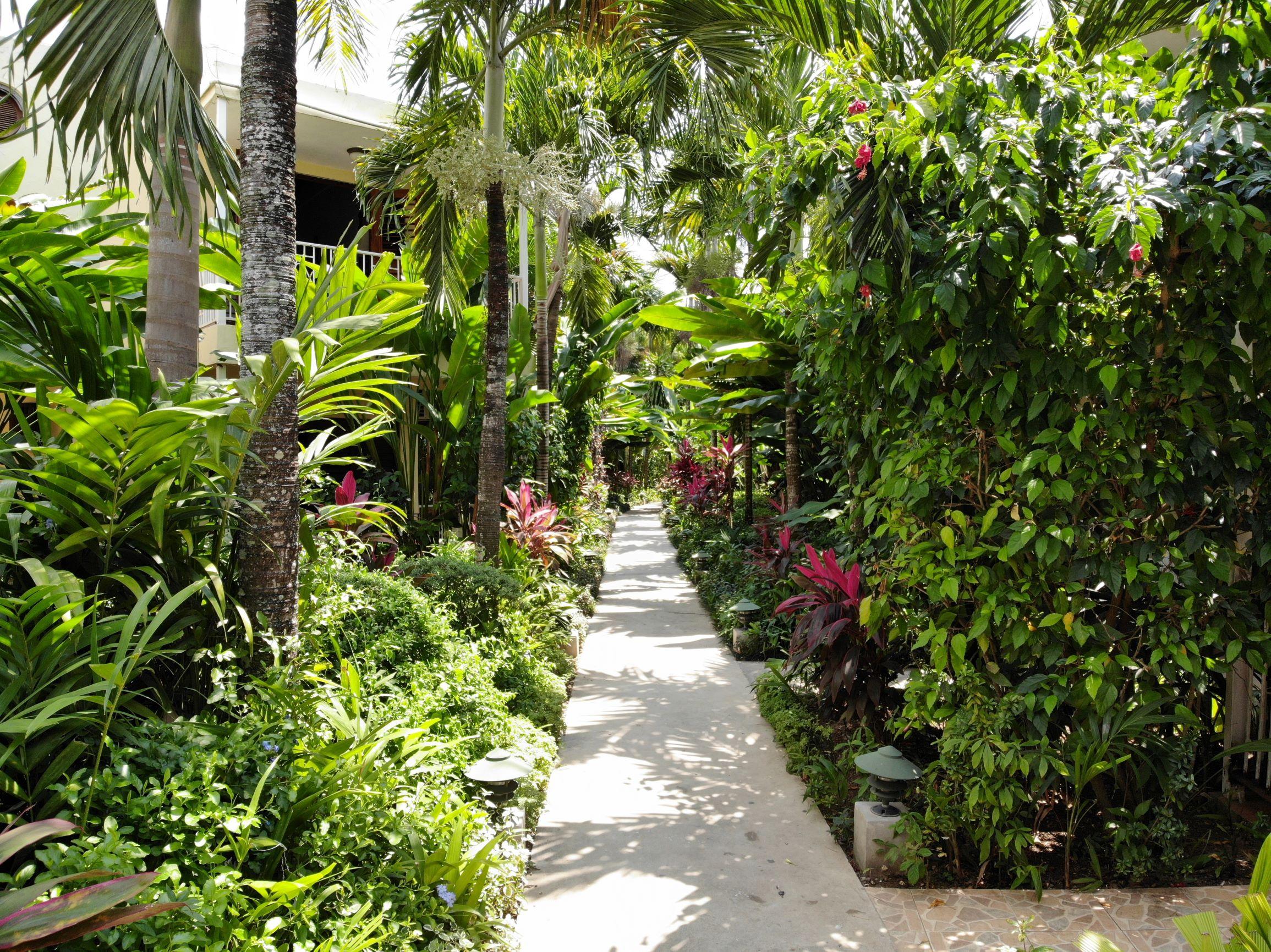 Negril Palms Hotel Buitenkant foto