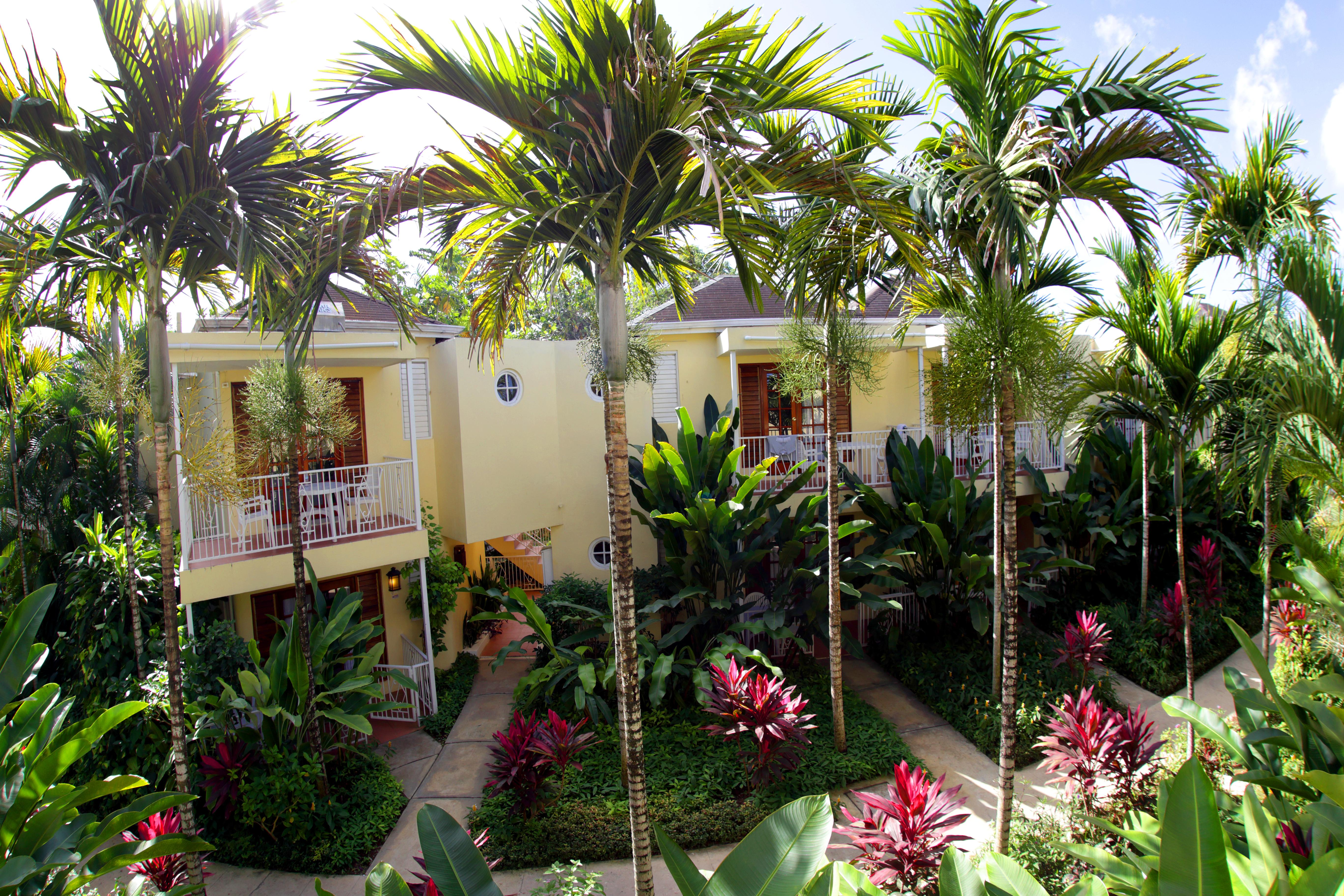 Negril Palms Hotel Buitenkant foto